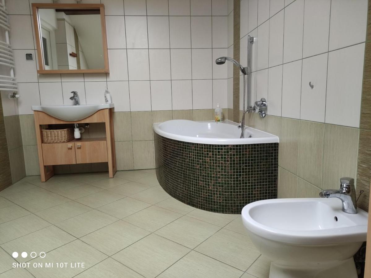 Apartament Panorama Jezow Sudecki المظهر الخارجي الصورة